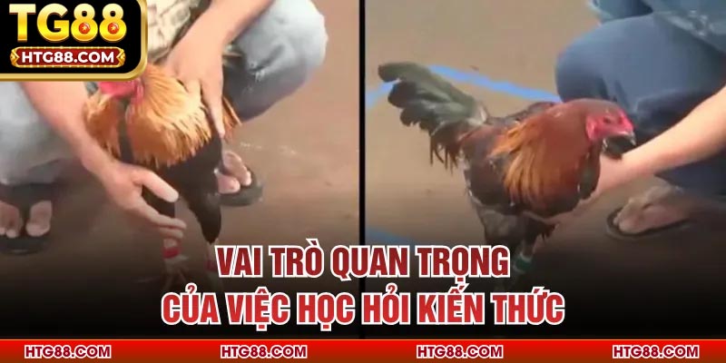Vai trò quan trọng của việc học hỏi kiến thức